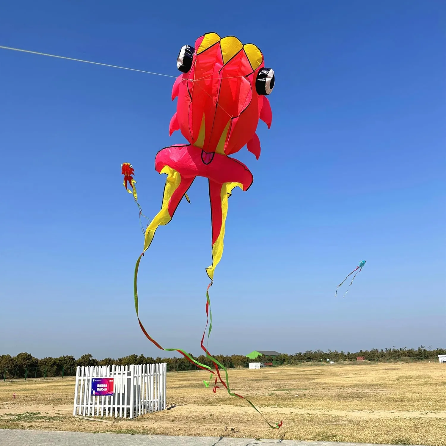 43ft Large Kites for Adults,3D Goldfish Frameless Soft Umbrella Giant Flying Kites,Easy to Fly with 330Ft Kite String in Beach and Amusement Parks-Ages 12 