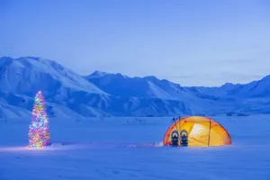 A Backpacking Tent And Snowshoes Lit Up At Dawn With A Christmas Tree Next To It Foothills Of The Alaska Range In The Distance Isabel Pass Along The Richardson Highway Interior Alaska Anchorage Alaska
