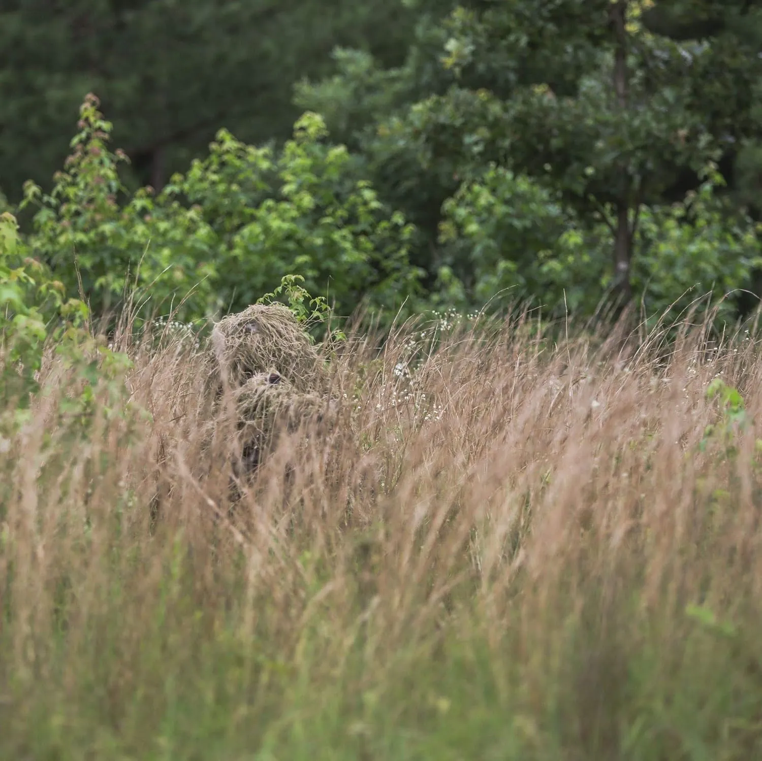 Arcturus Warrior Ghillie Suit - Camouflage Hunting Suit for Men, Military, Hunters, Snipers & Airsoft