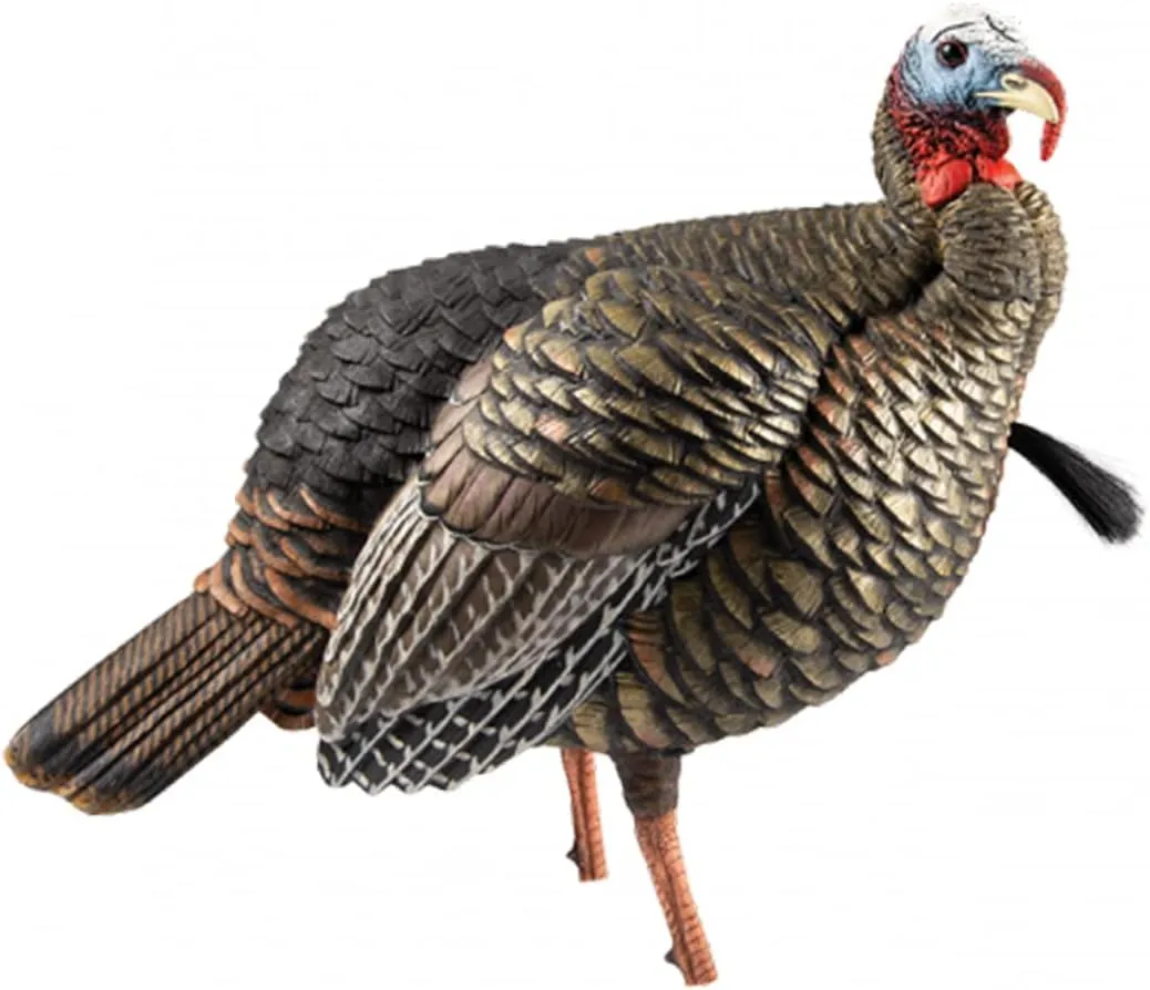 Avian-X HDR Jake Turkey Decoy | Rugged Durable Realistic Lifelike Quarter-Strut Body Standing Hunting Decoy with 2 Removable Heads, Mounting Stake & Carry Bag
