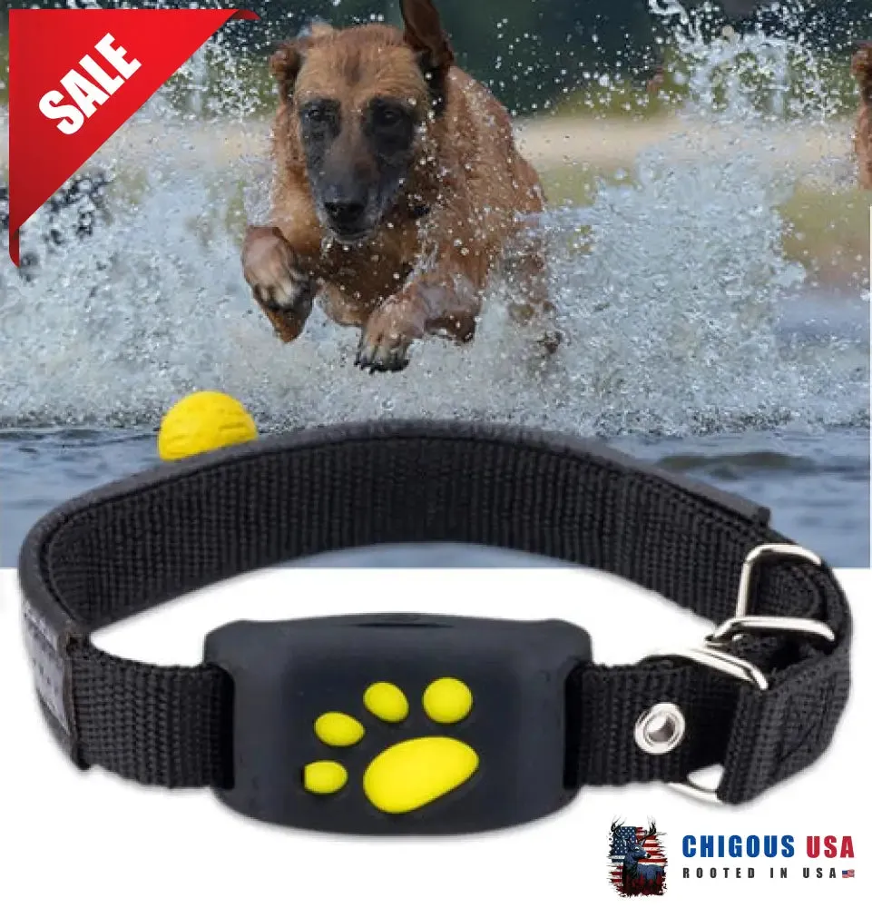 Best Cat GPS Tracker Locator Device For Pets