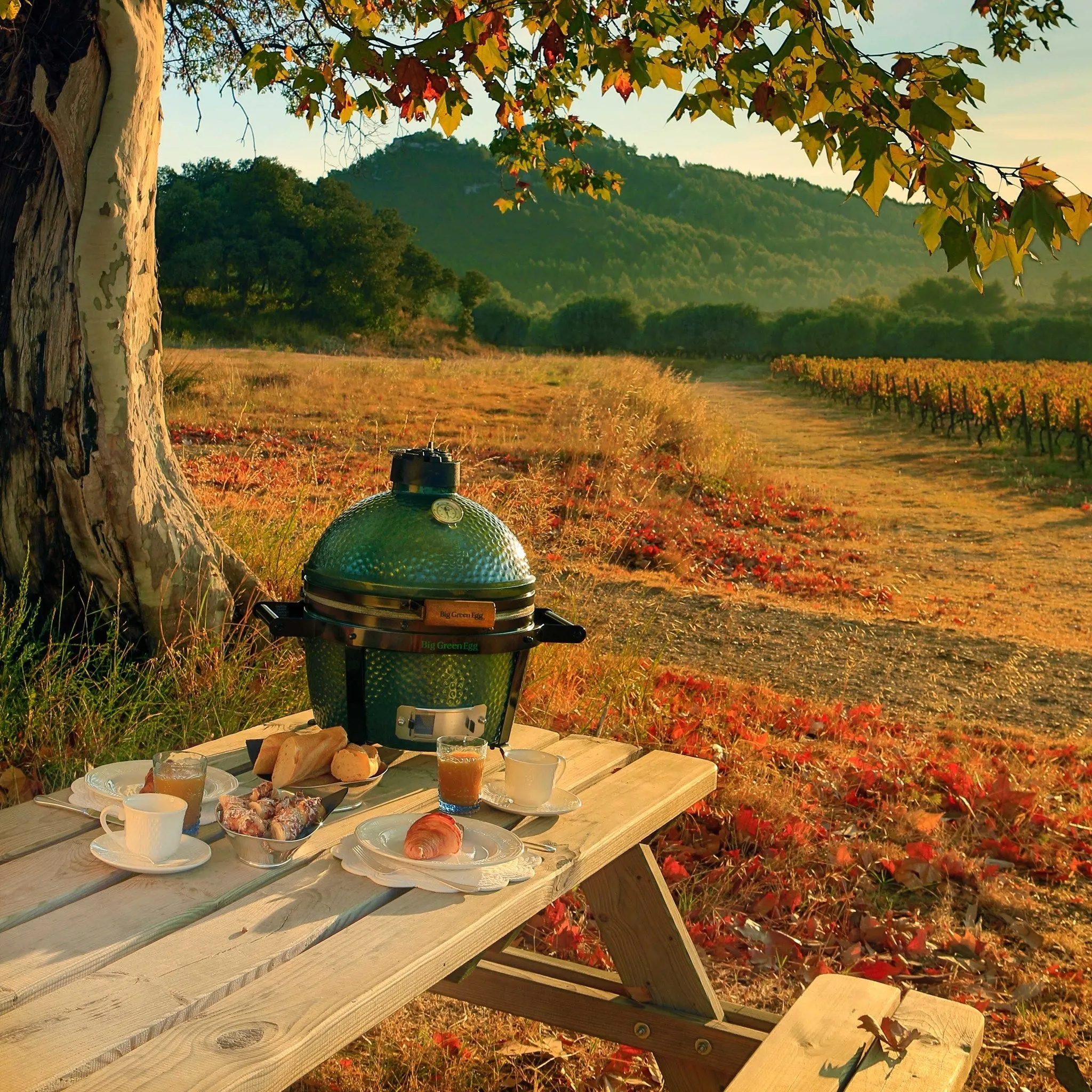Big Green Egg Portable Nest for MiniMax EGG