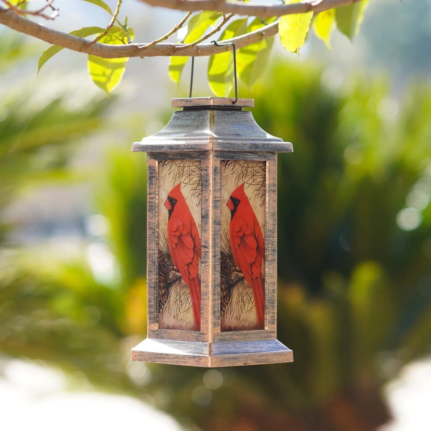 Charmante Kardinal Solar Lantern – Elegant Outdoor LED Garden Light