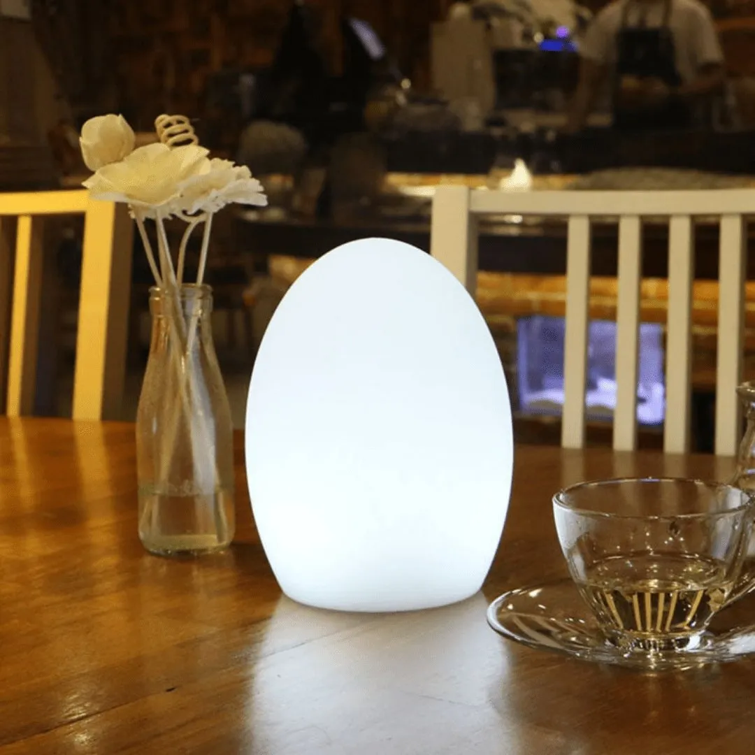 Egg IP65 Colour Changing Wireless Indoor Outdoor Table Lamp