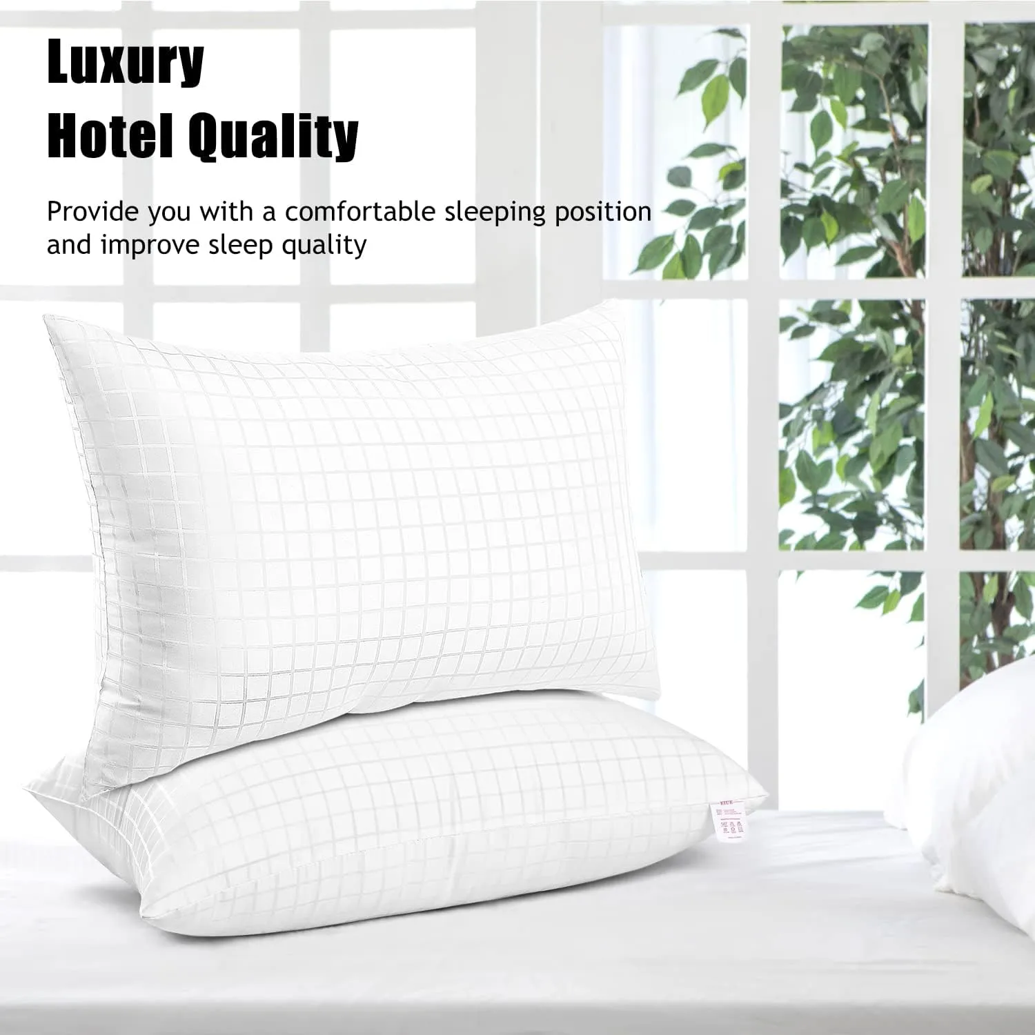 EIUE 2 Pack Queen Size Bed Pillows for Sleeping,Super Soft Down Alternative Microfiber Filled Pillows,20 x 30 Inches,White