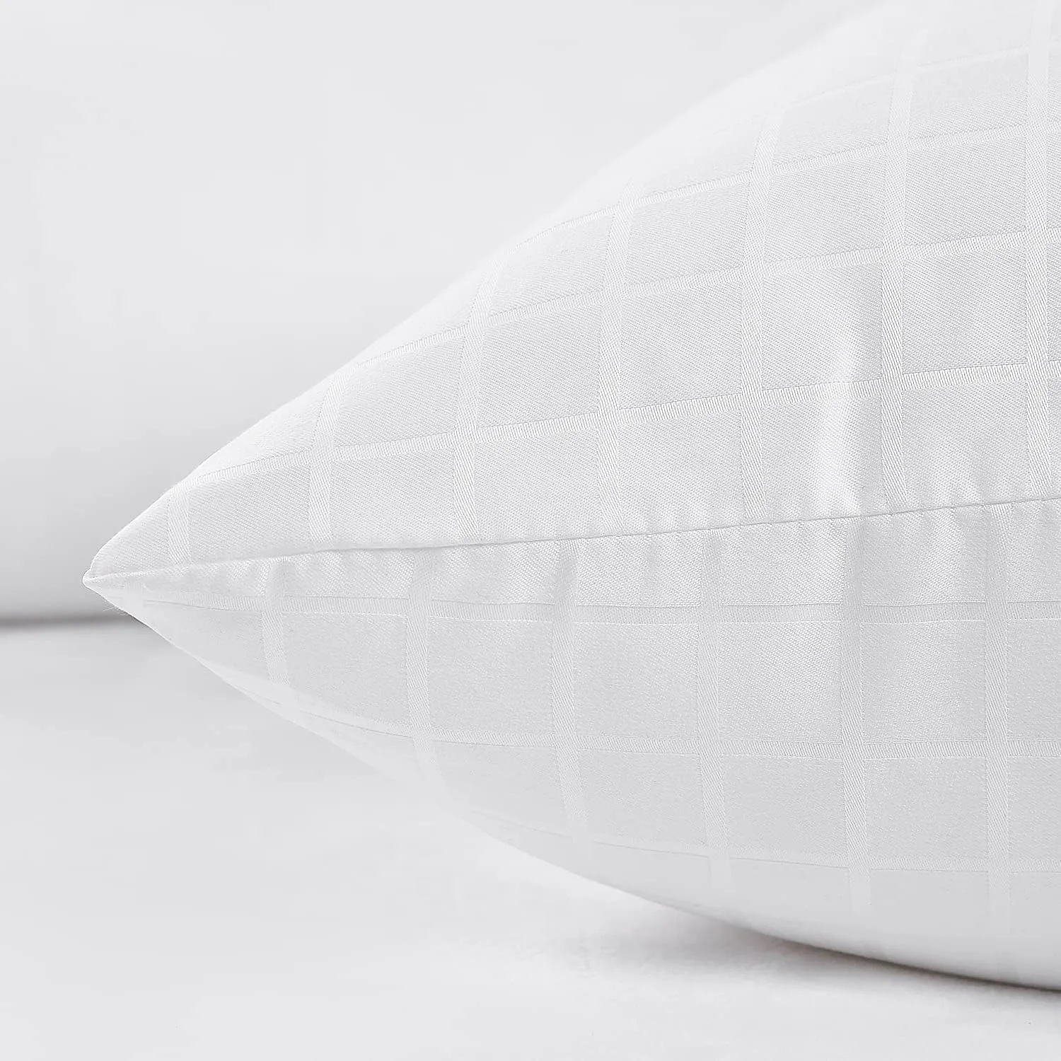 EIUE 2 Pack Queen Size Bed Pillows for Sleeping,Super Soft Down Alternative Microfiber Filled Pillows,20 x 30 Inches,White