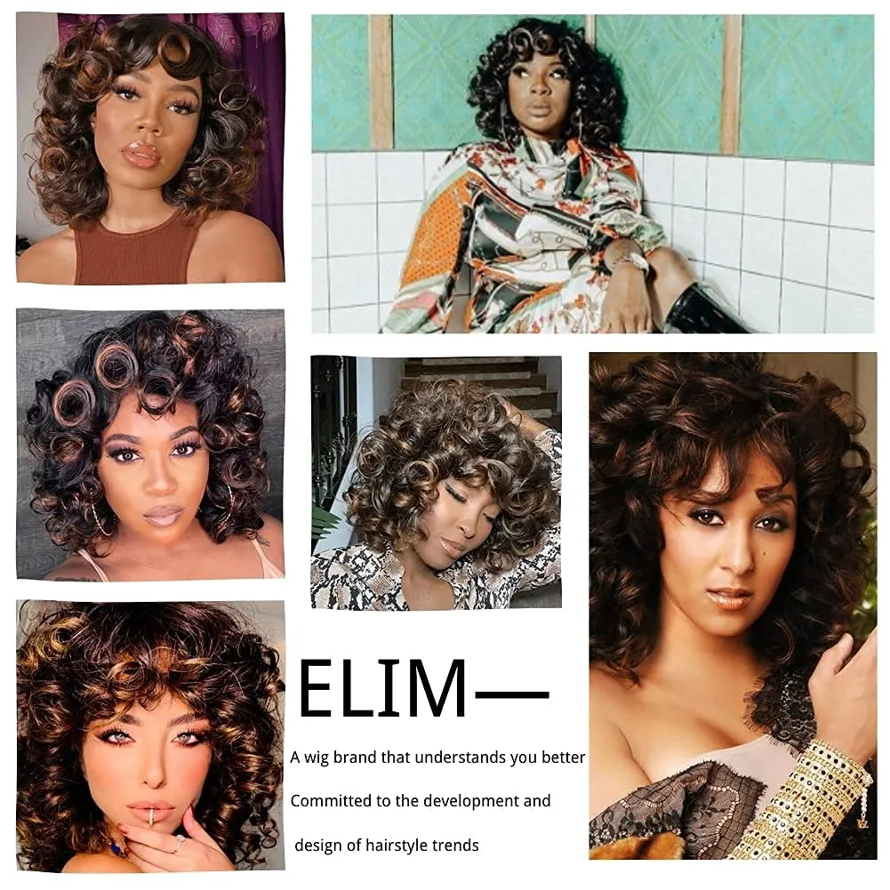 ELIM Curly Wigs for Black Women Mixed Brown Short Kinky Curly Wigs for Women Big Curly Afro Soft Wig with Bangs Heat Resistant Natural Cute Synthetic Wig with Accessories Z014BB