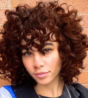 ELIM Dark Brown Curly Wigs for Black Women Short Kinky Curly Brown Wigs for Women Big Curly Afro Soft Wig with Bangs Heat Resistant Natural Cute Synthetic Wig with Accessories Z303BR