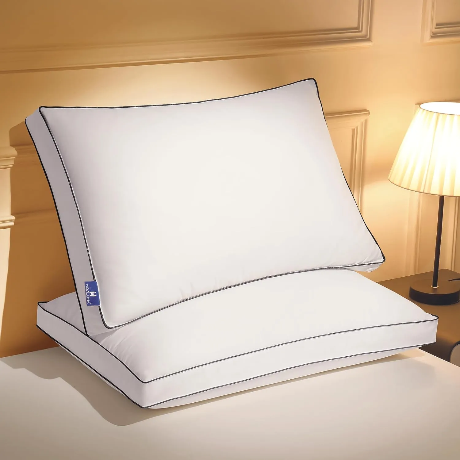 Feather Down Pillows Queen Size Set of 2 with Gusset, Luxury Hotel Collection Bed Pillow 2 Pack, Down Surrounded Gusseted Pillows for Sleeping, Soft Fluffy for Side, Back Sleepers 20x30 in.