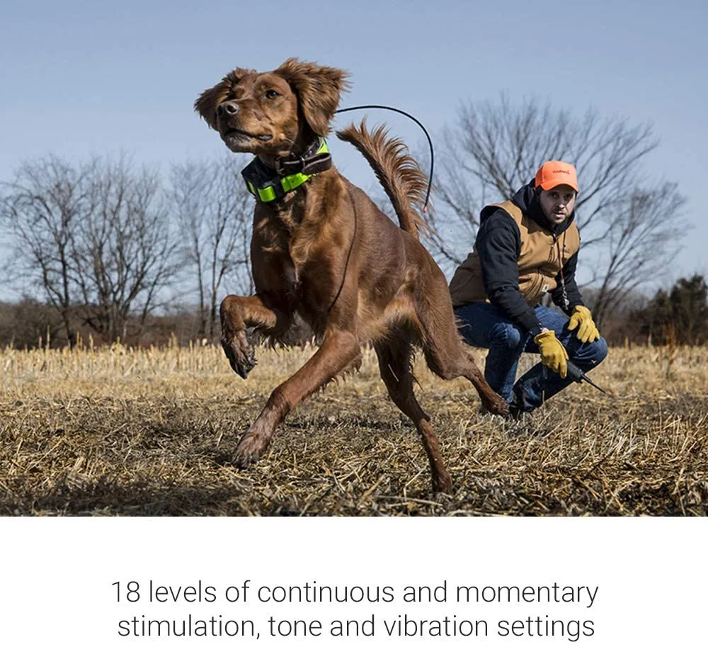 Garmin PRO 550 Plus Training and Tracking TT 15 Dog Device Bundle
