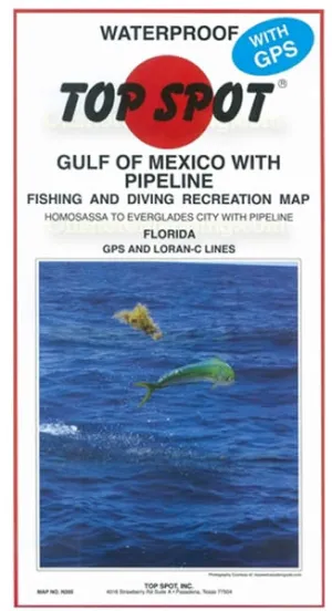 Gulf of Mexico with Pipeline N205