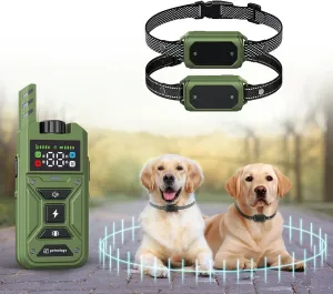 Invisible Dog Fence with Two Collars, Wireless Dog Fence System for Multi-Dogs, Electric Dog Training Collars with Remote, Waterproof Perimeter Dog Collars, 33ft-1000ft Range (Green)