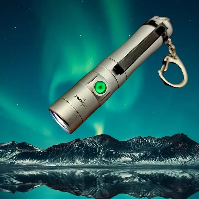 Mini Rechargeable Keychain Flashlight USB C Bright Key Light Portable Pocket Flashlight for EDC,Dog Walking, Hiking,Camping,Emergency(Silver)