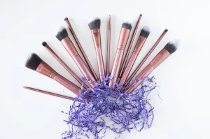 ROSE GOLD LIMITED EDITION 12 pc BRUSH SET PREMIUM SYNTHETIC FOUNDATION POWDER CONCEALERS EYE SHADOW, BLUSH MAKEUP BRUSHES