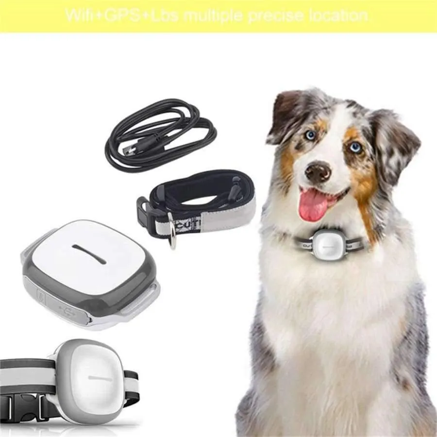 Rynx | Wireless GPS Pet Finder IP66 waterproof pet dog cat collar anti-loss tracker device